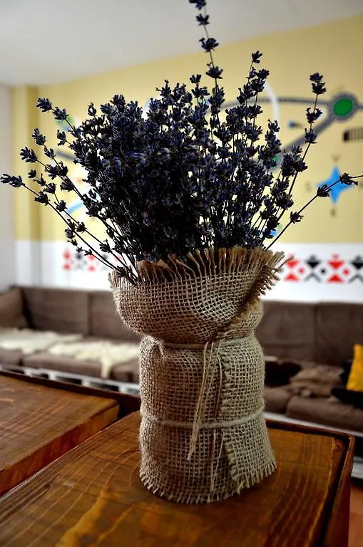 Bucur'S Shelter Hostel Bucharest